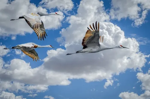 How to Migrate AWS Migration