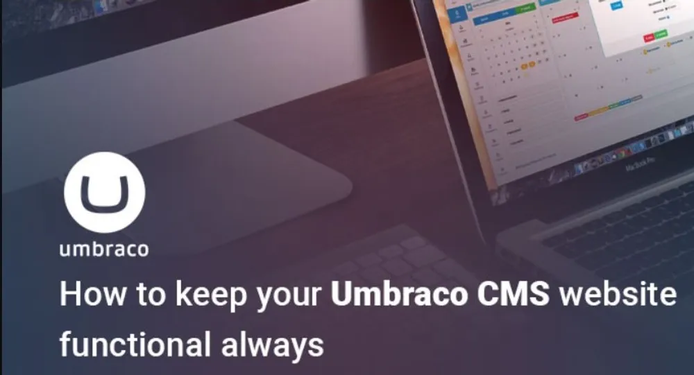 Support and Maintenance for Websites and CMS – Content Management Systems