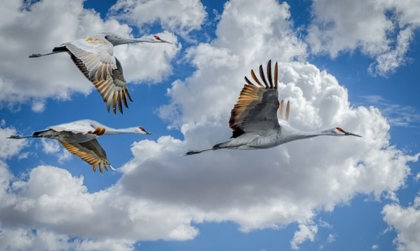 How to Migrate AWS Migration